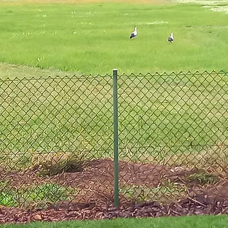 Kubusiowe Siedlisko - Rezerwat Przyrody *