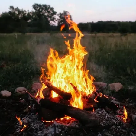 Kubusiowe Siedlisko - Rezerwat Przyrody * Stawinoga