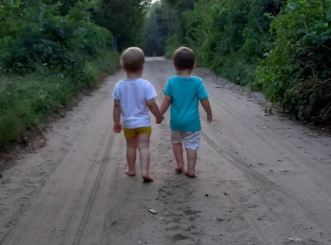 Kubusiowe Siedlisko - Rezerwat Przyrody Stawinoga