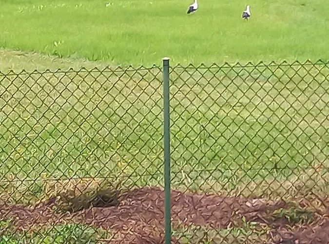 Kubusiowe Siedlisko - Rezerwat Przyrody *