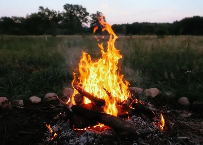 Kubusiowe Siedlisko - Rezerwat Przyrody * Stawinoga